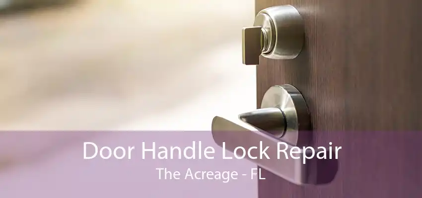 Door Handle Lock Repair The Acreage - FL