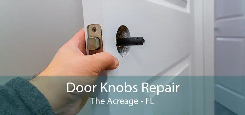 Door Knobs Repair The Acreage - FL