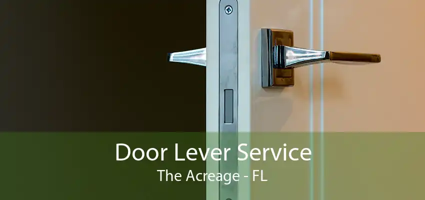 Door Lever Service The Acreage - FL