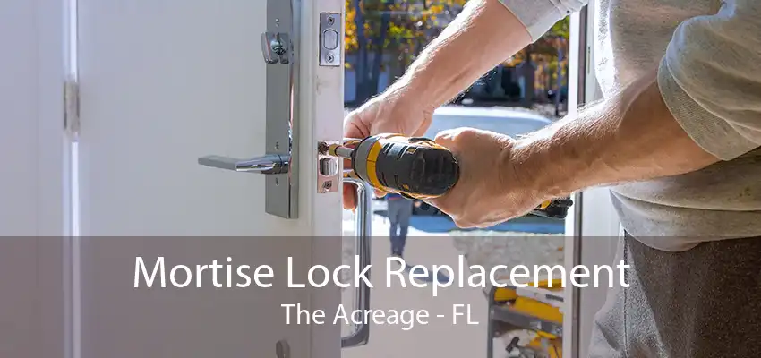 Mortise Lock Replacement The Acreage - FL