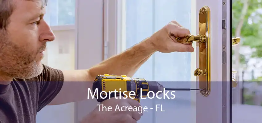 Mortise Locks The Acreage - FL